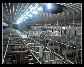 四川鋼結(jié)構(gòu)養(yǎng)殖場 四川鋼結(jié)構(gòu)養(yǎng)殖場